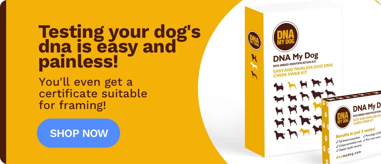 Wagtopia | DNA My Dog Testing Kit