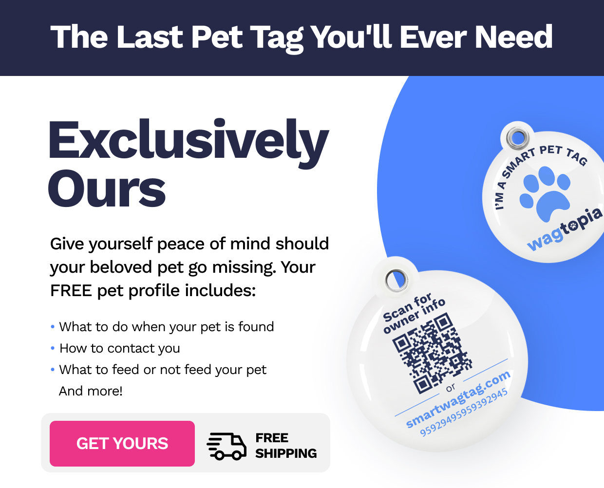 Wagtopia | The Smart Pet Tag
