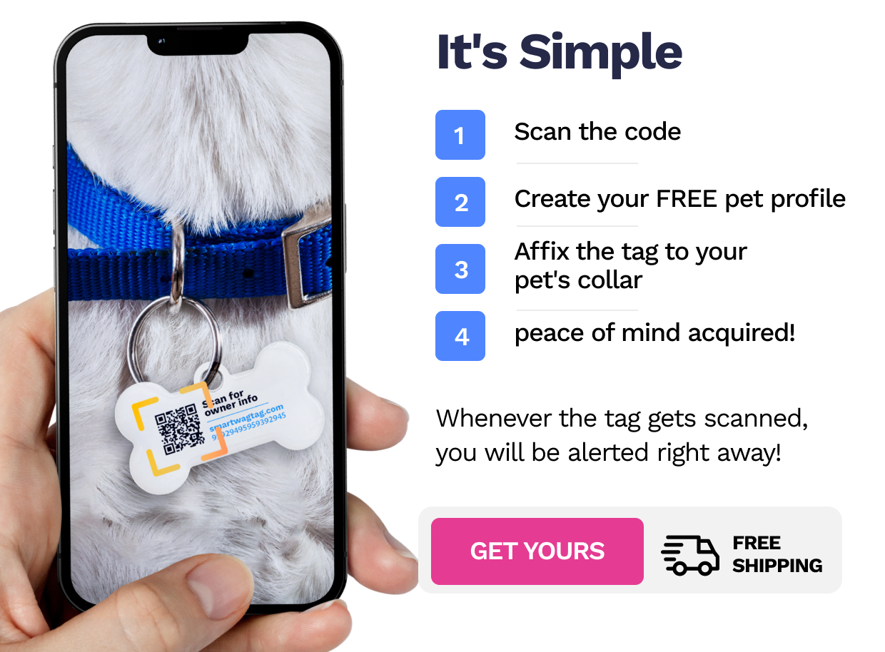 Wagtopia | Smart Wag Tag ID Tag