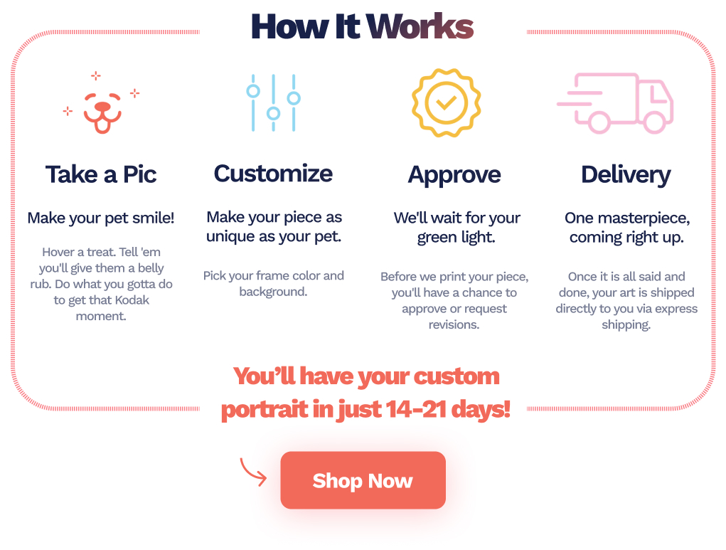 Wagtopia Recommends Portfolio Pet