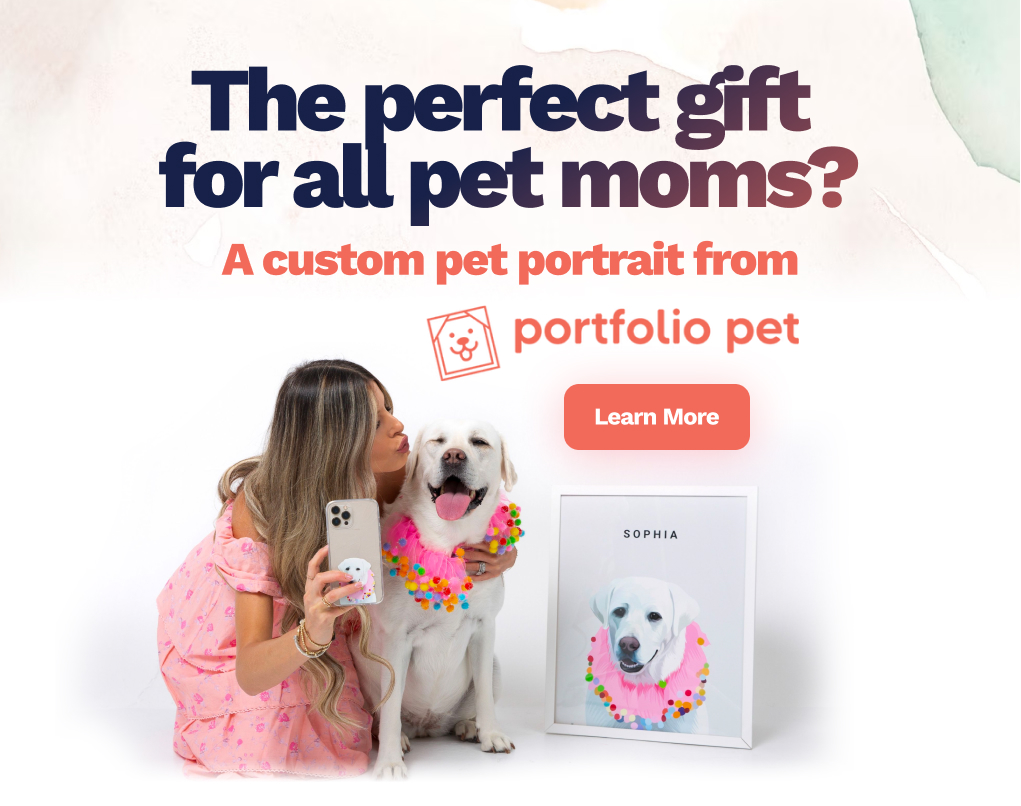 Wagtopia Recommends Portfolio
Pet