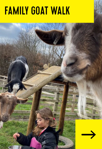 Family Goat Walk £64
