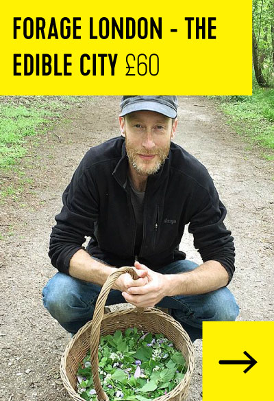 Forage London - The Edible City £60