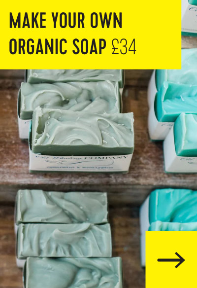 Make your Own Organic Soap £34