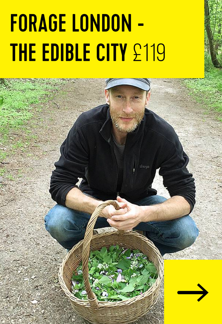 Forage London - The Edible City £119